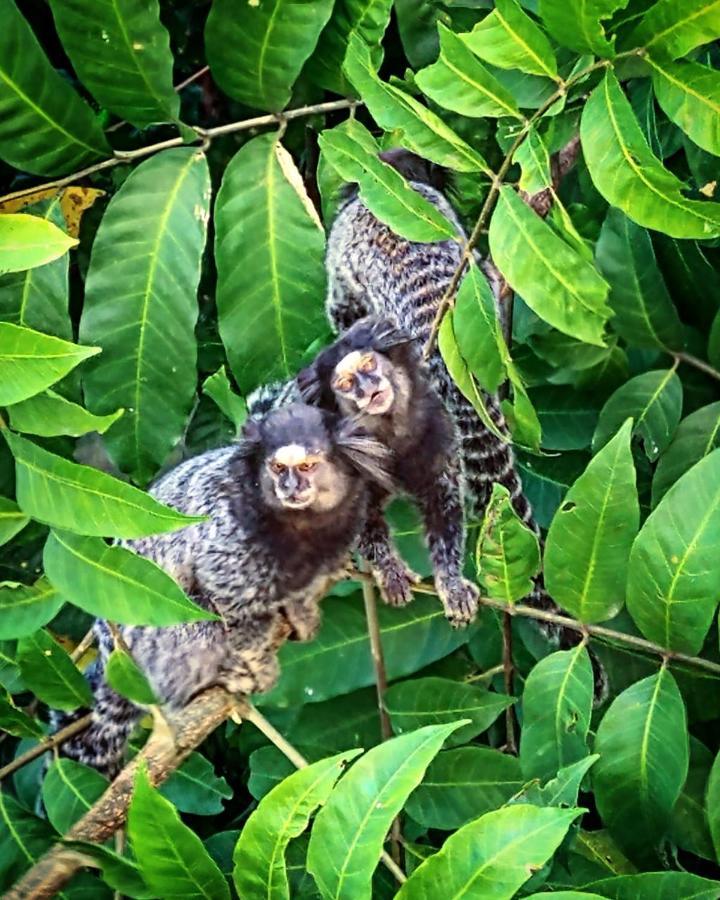 Pousada Costao Do Sol Angra dos Reis Dış mekan fotoğraf