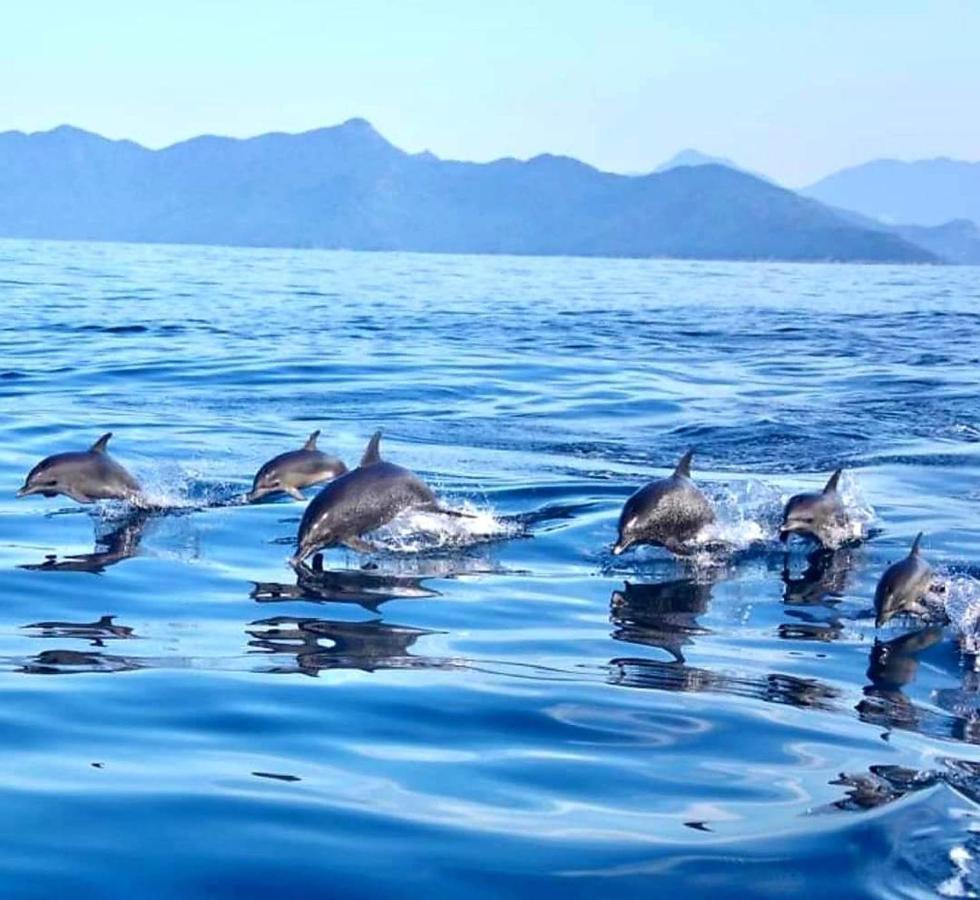 Pousada Costao Do Sol Angra dos Reis Dış mekan fotoğraf