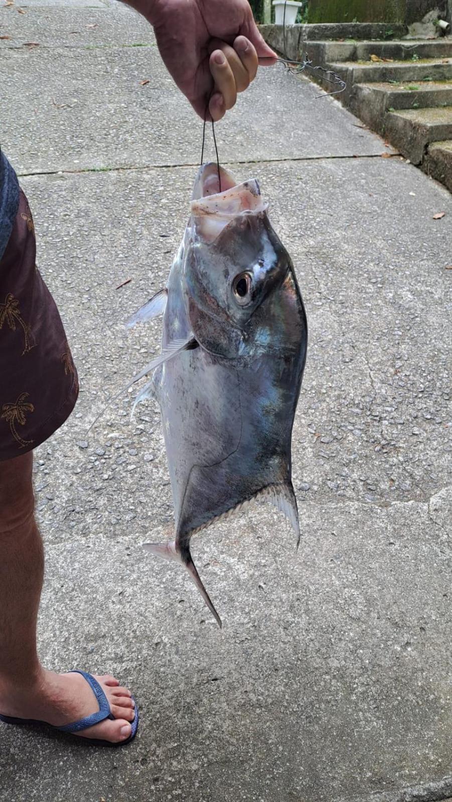 Pousada Costao Do Sol Angra dos Reis Dış mekan fotoğraf
