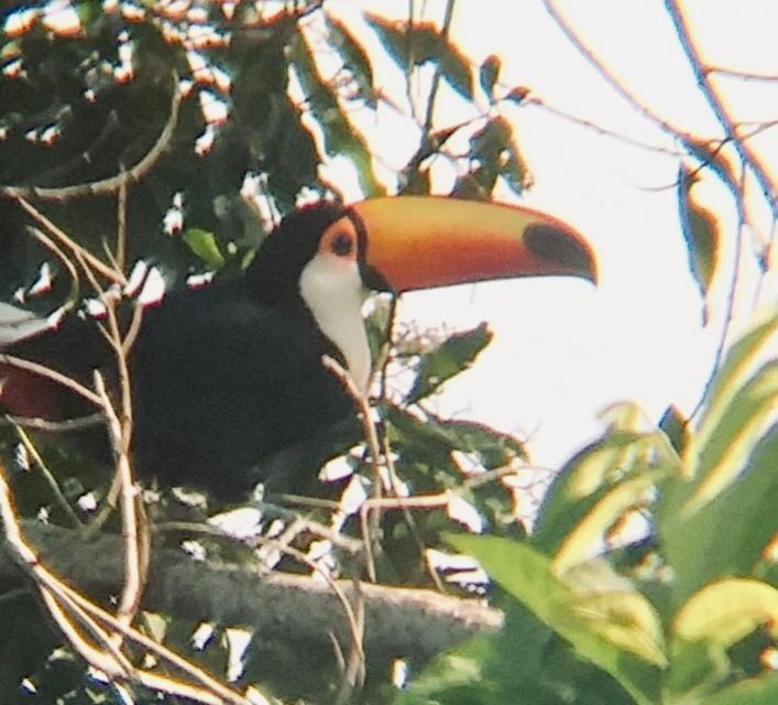 Pousada Costao Do Sol Angra dos Reis Dış mekan fotoğraf